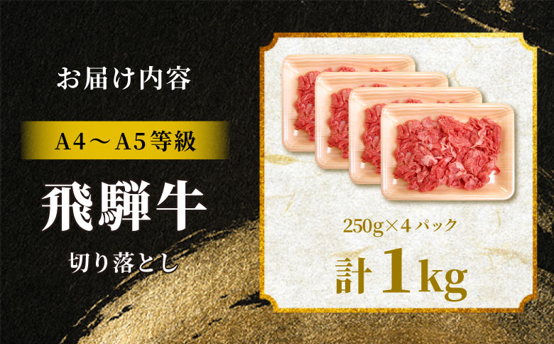 飛騨牛 切り落とし 1kg（250g×4P） A5 A4 国産 牛 黒毛和牛 和牛 牛肉 切落し 切り落し 薄切り 訳あり 牛丼 すき焼き しゃぶしゃぶ 炒め物 東白川村 岐阜 飛騨 贅沢 霜降り ロース バラ もも ウデ 肉のひぐち 1kg（20,000円）