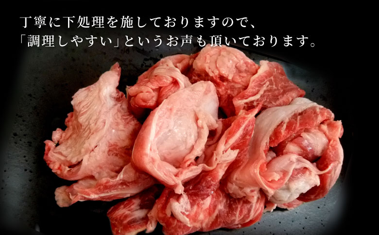 数量限定 飛騨牛 すじ肉 400g A5 A4 国産 牛 冷凍 和牛 牛肉 スジ すじ 牛すじ 牛すじ肉 煮込み用 煮込み料理 煮込み 豪華 ギフト 贈答 にく お肉