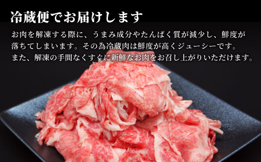 飛騨牛 4等級以上 切り落とし 560g 牛肉 和牛 肉 切落し ブランド牛 4等級 5等級 国産 切落とし 切り落し 切落し 人気 おすすめ 薄切り 岐阜 東白川村 すき焼き お取り寄せ 中濃ミート 【11月発送】