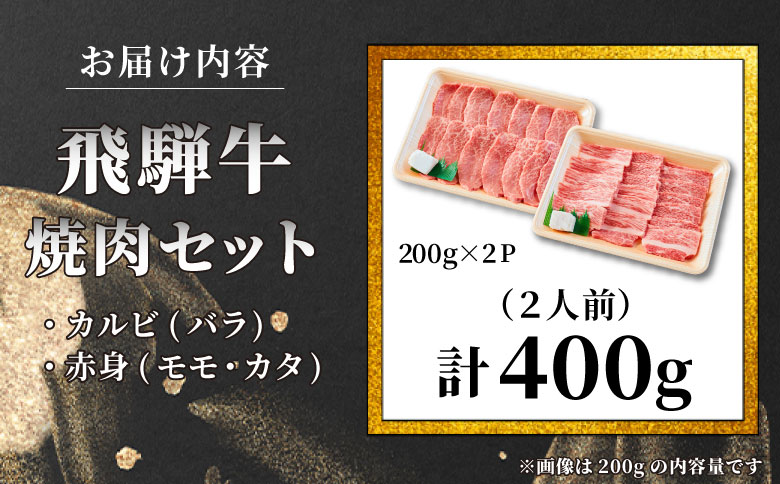 【最短発送】 贅沢！ 飛騨牛 焼肉セット 計400g 2人前 牛肉 和牛 肉 焼肉 BBQ 霜降り カルビ 赤身 モモ カタ 東白川村 岐阜 養老ミート