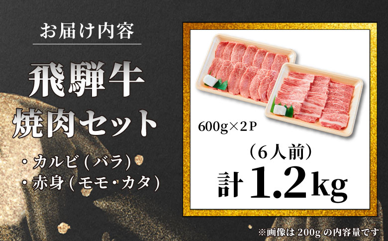 【最短発送】 贅沢！ 飛騨牛 焼肉セット 計1.2kg 6人前 牛肉 和牛 肉 焼肉 BBQ 霜降り カルビ 赤身 モモ カタ 東白川村 岐阜 養老ミート
