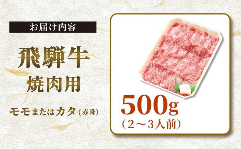 【最短発送】 贅沢！ 飛騨牛 モモまたはカタ 焼肉用 500g 2～3人前 牛肉 和牛 肉 焼肉 BBQ 霜降り カルビ 赤身 モモ カタ 東白川村 岐阜 養老ミート
