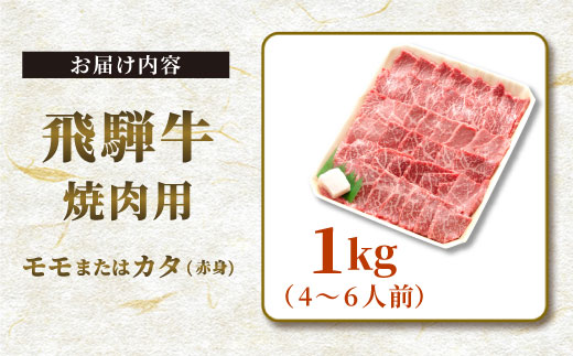 【最短発送】 贅沢！ 飛騨牛 モモまたはカタ 焼肉用 1kg 4～6人前 牛肉 和牛 肉 焼肉 BBQ 霜降り カルビ 赤身 モモ カタ 東白川村 岐阜 養老ミート