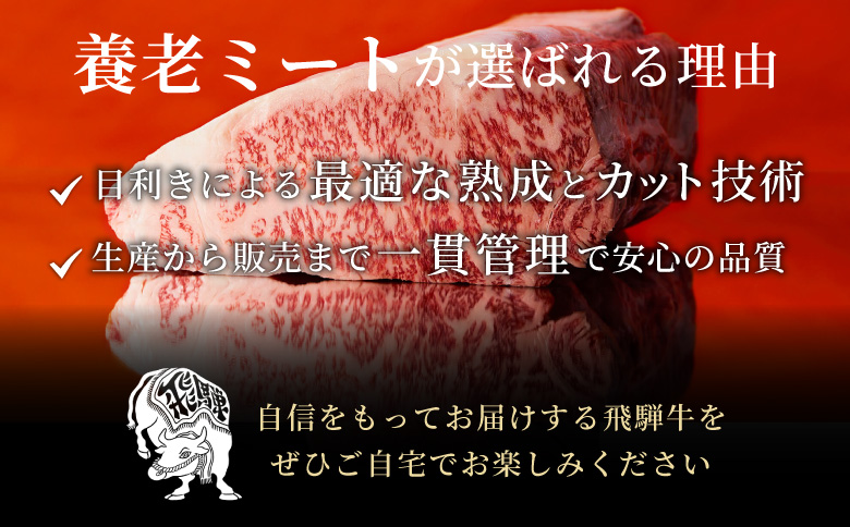 【12/26入金分まで年内発送】 飛騨牛 赤身＆霜降り2種セット (すきしゃぶ用) 計1kg もも カタ ロース カタロース 肩ロース 牛肉 和牛 肉 すき焼き しゃぶしゃぶ 東白川村 岐阜 霜降り 赤身 鍋 養老ミート