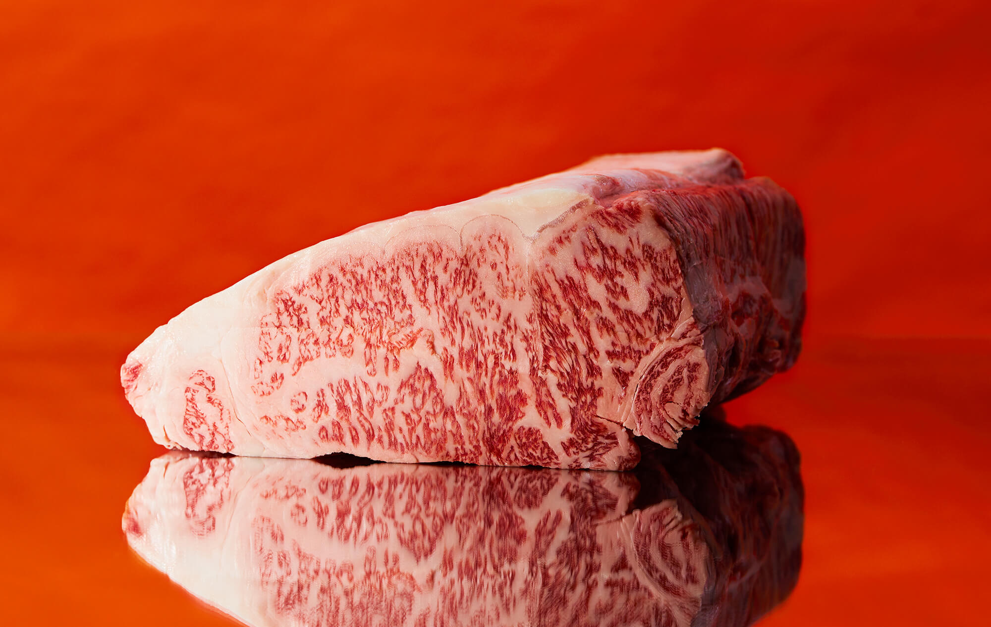【最短発送】 飛騨牛 切り落とし 1.4kg (700g×2P) 訳あり 牛肉 和牛 肉 お肉 切落し 不揃い にく 切り落し 東白川村 ブランド牛 国産 人気 おすすめ 薄切り きりおとし 岐阜 すき焼き お取り寄せ 冷凍 大容量 たっぷり 養老ミート 20000円 2万円
