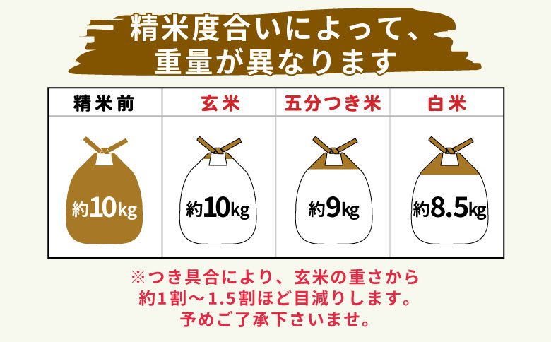 【令和7年度産・先行受付】令和7年産 コシヒカリ 約10kg 五分つき 米 岐阜県 東白川村産 選べる 精米度合い 精米 新米 白米 五分付き 五分つき米 五分精米 お米 こめ 精米 ご飯 おにぎり 食物繊維 低GI 返礼品 ふるさと納税 16000円 五分つき米（1割程重量が減ります）