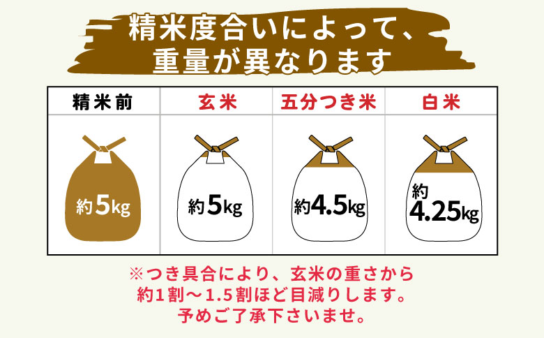 【令和7年度産・先行受付】令和7年産 コシヒカリ 5kg 五分つき 米 岐阜県 東白川村産 選べる 精米度合い 精米 新米 五分付き 五分つき米 五分精米 お米 こめ 精米 ご飯 おにぎり 食物繊維 低GI 返礼品 ふるさと納税 9000円 五分つき米（1割程重量が減ります）
