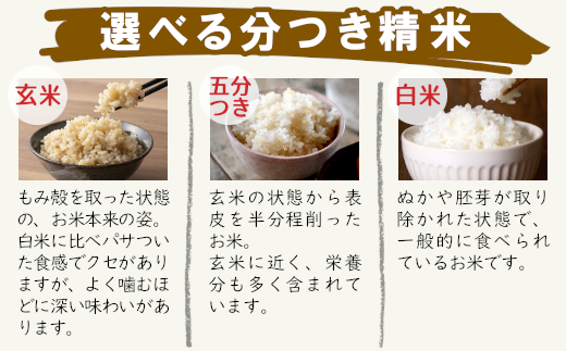 【令和7年度産・先行受付】令和7年産 コシヒカリ 約10kg 五分つき 米 岐阜県 東白川村産 選べる 精米度合い 精米 新米 白米 五分付き 五分つき米 五分精米 お米 こめ 精米 ご飯 おにぎり 食物繊維 低GI 返礼品 ふるさと納税 16000円 五分つき米（1割程重量が減ります）