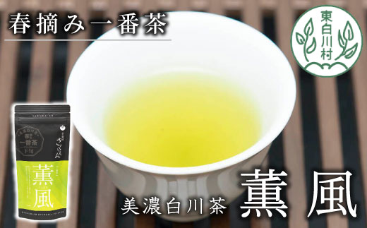 白川茶 茶蔵園 上煎茶 「薫風-くんぷう-」 煎茶 お茶 緑茶 日本茶 茶葉 国産 一番茶 上煎茶 東白川村