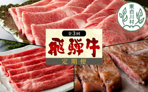 定期便 3回 飛騨牛 ロース 肩ロース カタ モモ ステーキ ロースステーキ サーロインステーキ すき焼き しゃぶしゃぶ 肉 牛 牛肉 和牛 養老ミート