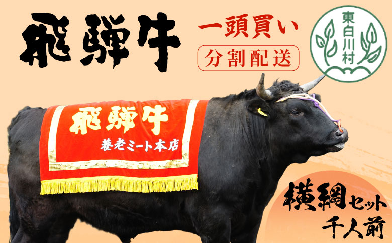 【分割配送】牛一頭まるごと千人前！ 飛騨牛  牛一頭 横綱セット 千人前 計197kg A5等級 すき焼き しゃぶしゃぶ ステーキ 焼肉 BBQ ランプ イチボ カイノミ サーロイン ヒレステーキ ロース 大容量 贅沢 飛騨 ブランド牛 牛肉 高級 贅沢 ご褒美 養老ミート