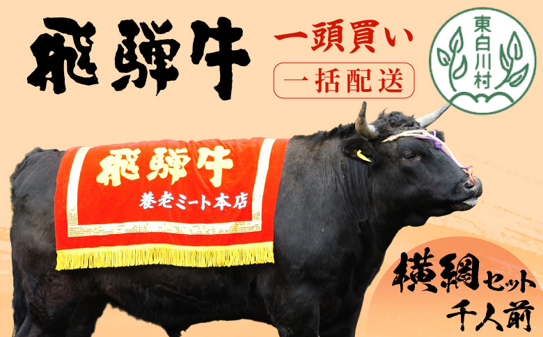 【一括配送】牛一頭まるごと千人前！ 飛騨牛 牛一頭 横綱セット 千人前 計197kg A5等級 すき焼き しゃぶしゃぶ ステーキ 焼肉 BBQ ランプ イチボ カイノミ サーロイン ヒレステーキ ロース 大容量 贅沢 飛騨 ブランド牛 牛肉 高級 贅沢 ご褒美 養老ミート