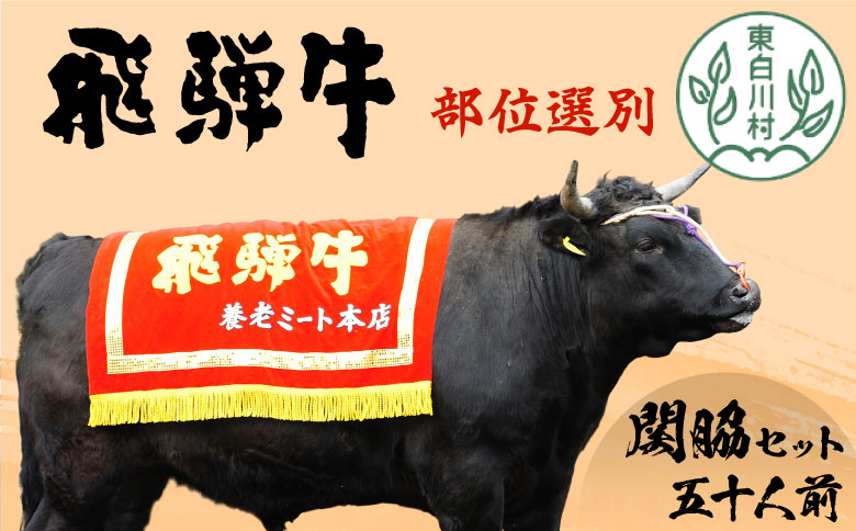 どどんと五十人前！ 飛騨牛 部位選別 関脇セット 五十人前 計9.75kg A5等級 すき焼き しゃぶしゃぶ ステーキ 焼肉 BBQ ヒレ サーロイン 肩ロース 三角バラ ソトバラ ランプ イチボ ウチモモ マル 贅沢 飛騨 ブランド牛 牛肉 高級 贅沢 ご褒美 養老ミート