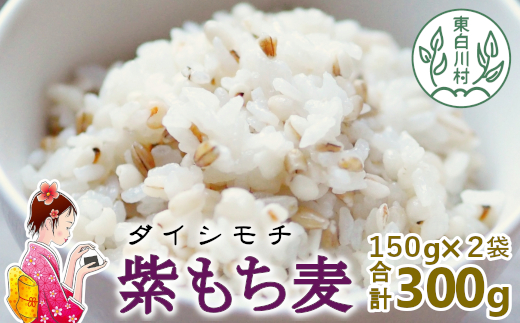 【令和7年度産】 東白川村産 紫もち麦 ダイシモチ 150g×2袋 300g もち麦 麦 食物繊維 雑穀 雑穀米 食べきり お米 こめ 精米 ご飯 おためし 混ぜるだけ