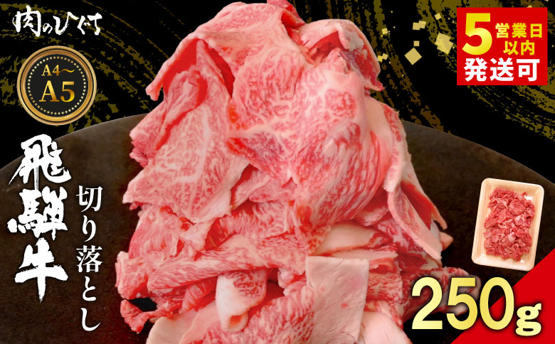 飛騨牛 切り落とし 250g A5 A4 国産 牛 黒毛和牛 和牛 牛肉 切落し 切り落し 薄切り 訳あり 牛丼 すき焼き しゃぶしゃぶ 炒め物 東白川村 岐阜 飛騨 贅沢 霜降り ロース バラ もも ウデ 肉のひぐち 250g（8,000円）