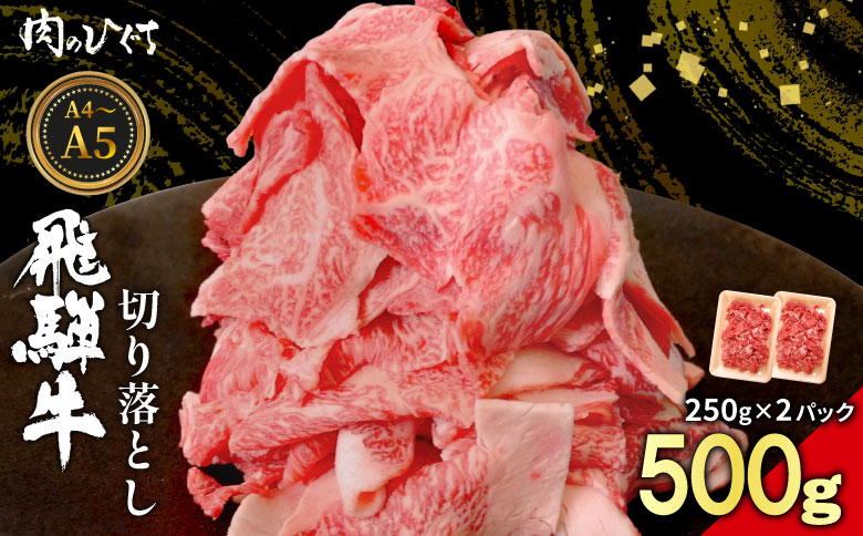 【12月16日入金分まで年内発送】 飛騨牛 切り落とし 500g（250g×2P） A5 A4 国産 牛 黒毛和牛 和牛 牛肉 切落し 切り落し 薄切り 訳あり 牛丼 すき焼き しゃぶしゃぶ 炒め物 東白川村 岐阜 飛騨 贅沢 霜降り ロース バラ もも ウデ 肉のひぐち 500g（12,000円）