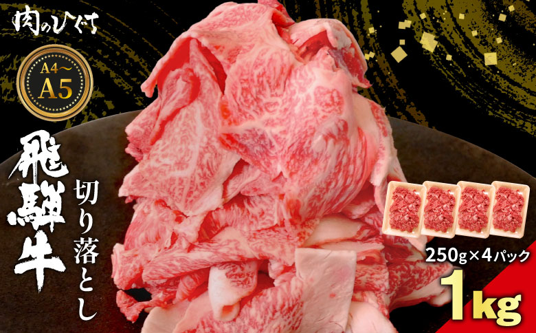 飛騨牛 切り落とし 1kg（250g×4P） A5 A4 国産 牛 黒毛和牛 和牛 牛肉 切落し 切り落し 薄切り 訳あり 牛丼 すき焼き しゃぶしゃぶ 炒め物 東白川村 岐阜 飛騨 贅沢 霜降り ロース バラ もも ウデ 肉のひぐち 1kg（20,000円）