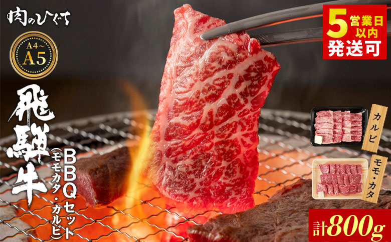 飛騨牛 BBQセット（カルビ・モモカタ） 800g A5 A4 国産 牛 冷凍 和牛 牛肉 カルビ もも モモ カタ 肩 かた 豪華 ギフト 贈答 にく お肉 肉 東白川村 岐阜 飛騨 贅沢 霜降り 赤身 肉のひぐち 計800g（24,000円）
