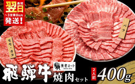【最短発送】 贅沢！ 飛騨牛 焼肉セット 計400g 2人前 牛肉 和牛 肉 焼肉 BBQ 霜降り カルビ 赤身 モモ カタ 東白川村 岐阜 養老ミート