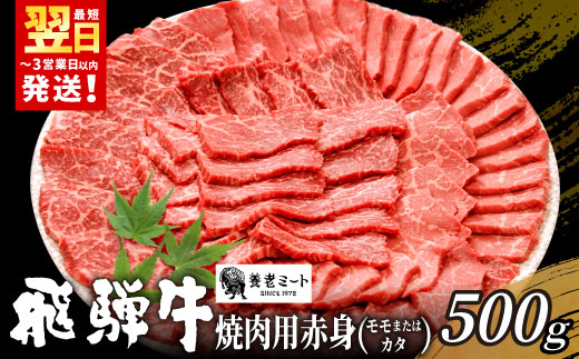【最短発送】 贅沢！ 飛騨牛 モモまたはカタ 焼肉用 500g 2～3人前 牛肉 和牛 肉 焼肉 BBQ 霜降り カルビ 赤身 モモ カタ 東白川村 岐阜 養老ミート