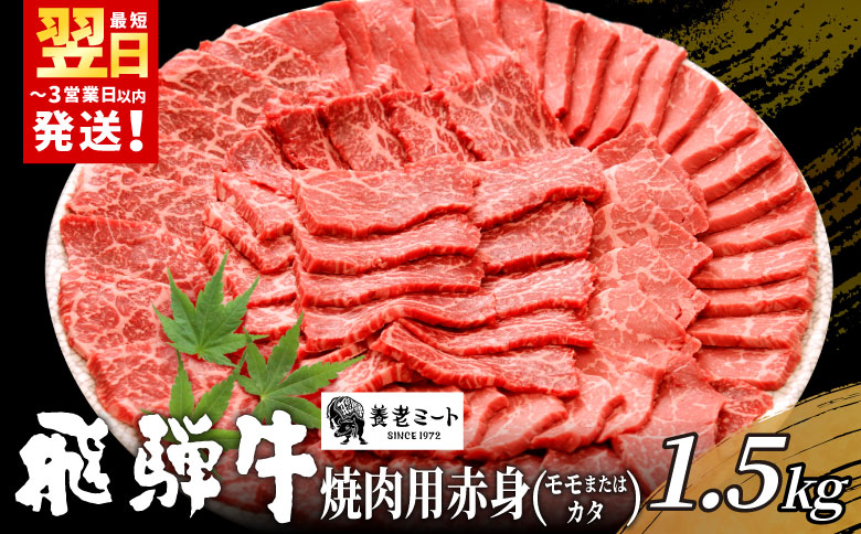 ＜12/21入金分まで年内発送＞ 贅沢！ 飛騨牛 モモまたはカタ 焼肉用 1.5kg 6～10人前 牛肉 和牛 肉 焼肉 BBQ 霜降り カルビ 赤身 モモ カタ 東白川村 岐阜 養老ミート