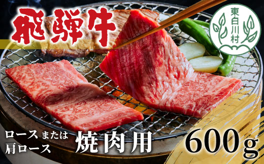 飛騨牛 ロースまたは肩ロース 焼肉用 600g 牛肉 和牛 肉 焼肉 BBQ ロース カタロース 肩ロース 贅沢 霜降り 養老ミート