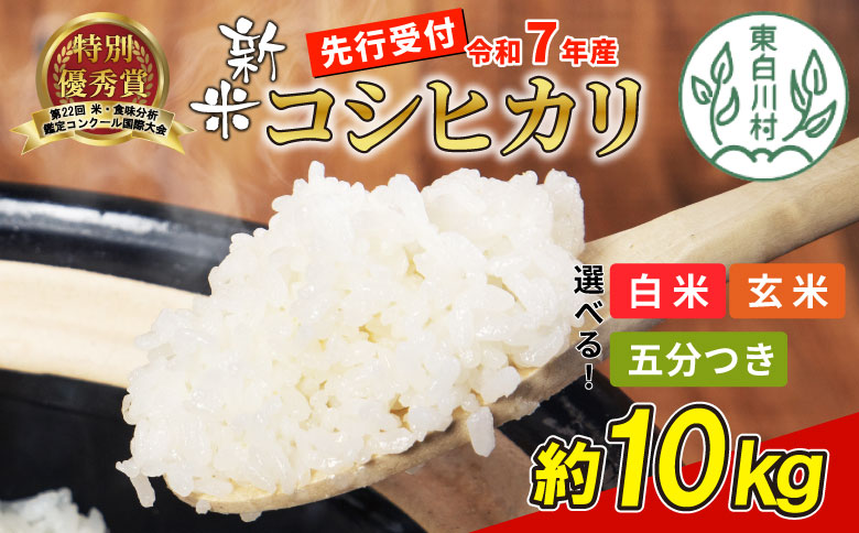 [令和7年度産・先行受付]令和7年産 コシヒカリ 約10kg 五分つき 米 岐阜県 東白川村産 選べる 精米度合い 精米 新米 白米 五分付き 五分つき米 五分精米 お米 こめ 精米 ご飯 おにぎり 食物繊維 低GI 返礼品 ふるさと納税 16000円