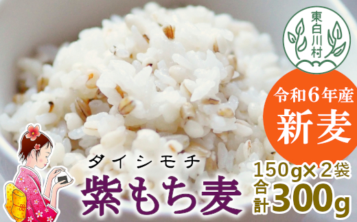 東白川村産 紫もち麦 ダイシモチ 150g×2袋 300g もち麦 麦 食物繊維 雑穀 雑穀米 食べきり お米 こめ 精米 ご飯 おためし 混ぜるだけ