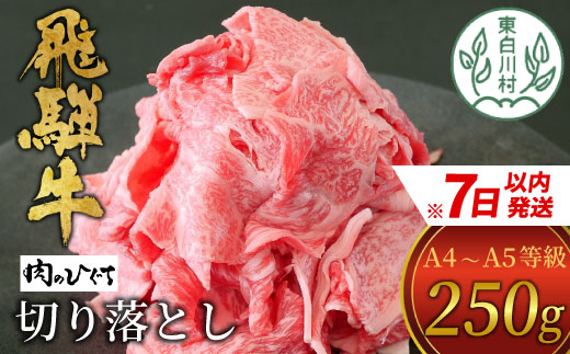 飛騨牛 切り落とし 250g A5 A4 国産 牛 冷凍 お試し 和牛 牛肉 切落し 切り落し 訳あり 牛丼 すき焼き しゃぶしゃぶ 東白川村 岐阜 飛騨 贅沢 霜降り ロース バラ もも ウデ 肉のひぐち