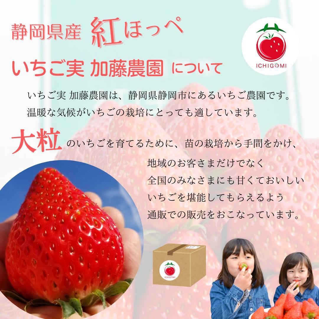 【冷凍】 静岡県産いちご 紅ほっぺ 1kg 苺 フルーツ◇