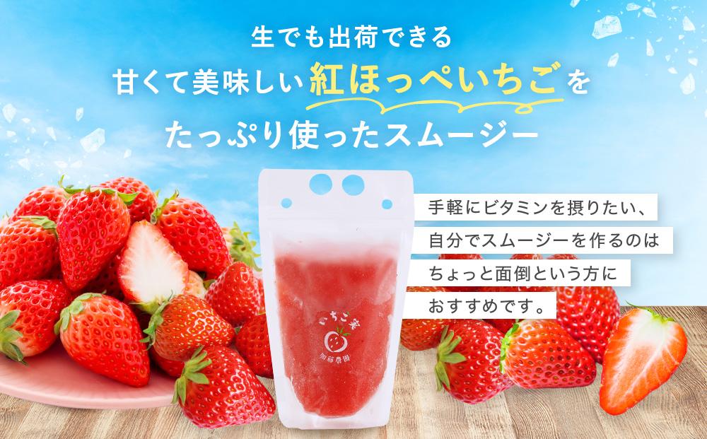【冷凍】 いちごスムージー（紅ほっぺ）300g×6個  苺 フルーツ◇