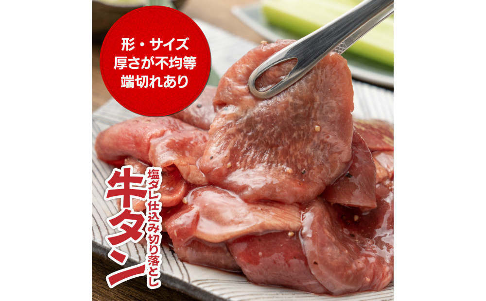 牛タン塩ダレ仕込み切り落とし3kg（500g×6パック）【配送不可：離島】