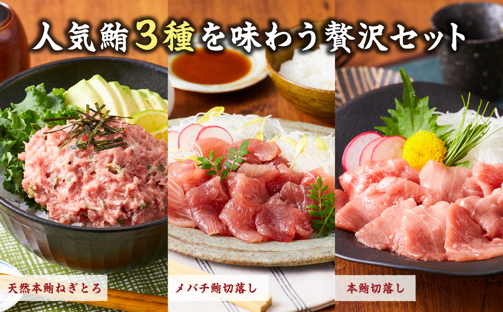まぐろ食べ比べセット 計900g (300g 3種)：本鮪切落し300ｇ メバチ鮪切落し300ｇ 天然本鮪ねぎとろ300ｇ【静岡市清水】冷凍  マグロ  たたき ネギトロ丼 手巻き寿司 小分け 即席 海の幸 【配送不可：離島】◇