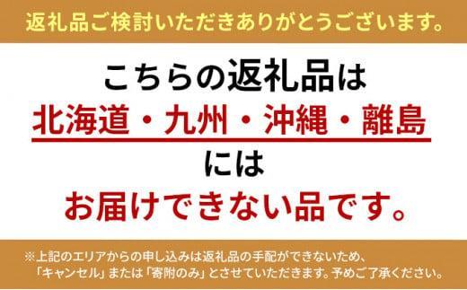 大粒きらぴ香いちご（450g×2パック）ギフトBOX入り なかじま園 大粒 果物 イチゴ 苺 ギフト 贈答品 お祝い 化粧箱 プレゼント 国産 フルーツ くだもの 冷蔵◆