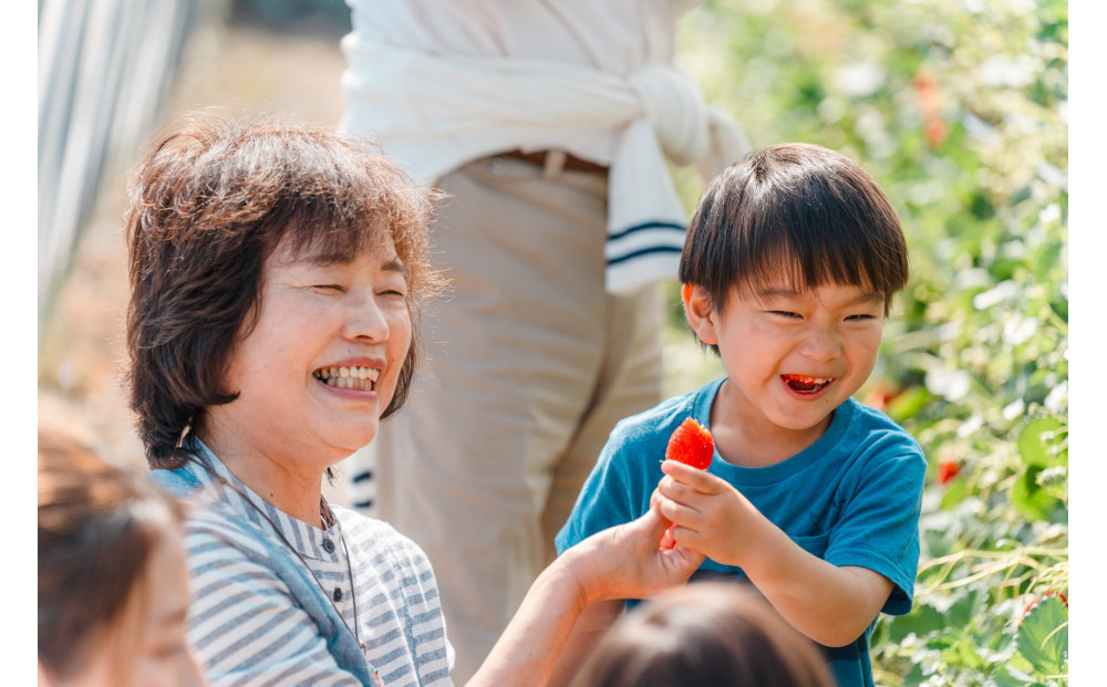 【2026年1月より順次発送】静岡特産・石垣苺　2L～4Lミックス 約280g×2パック★紅ほっぺ