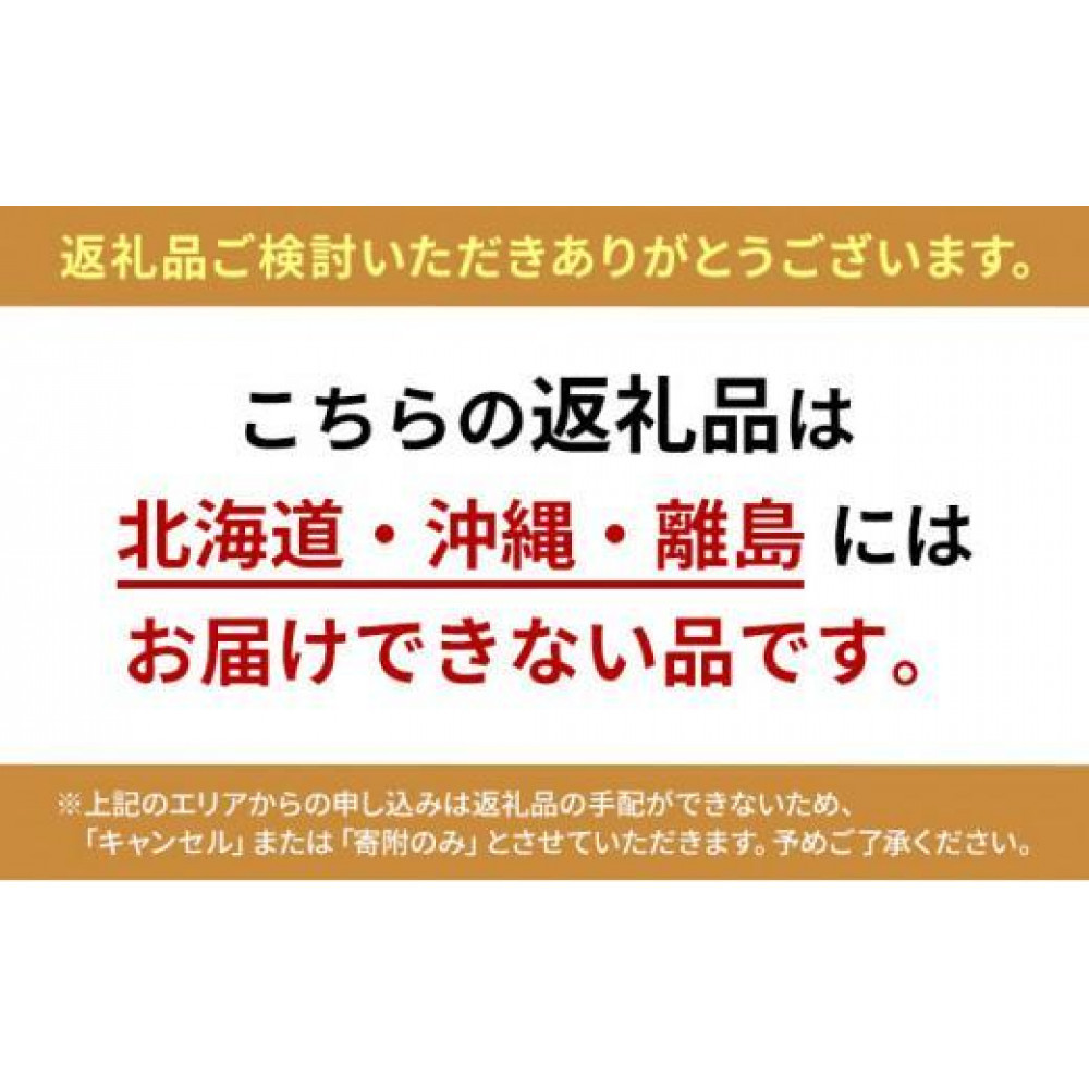 ミツカルドッグ　AI姿勢解析×インボディー　健康×テクノロジー【配送不可：北海道・沖縄・離島（一部除く）】