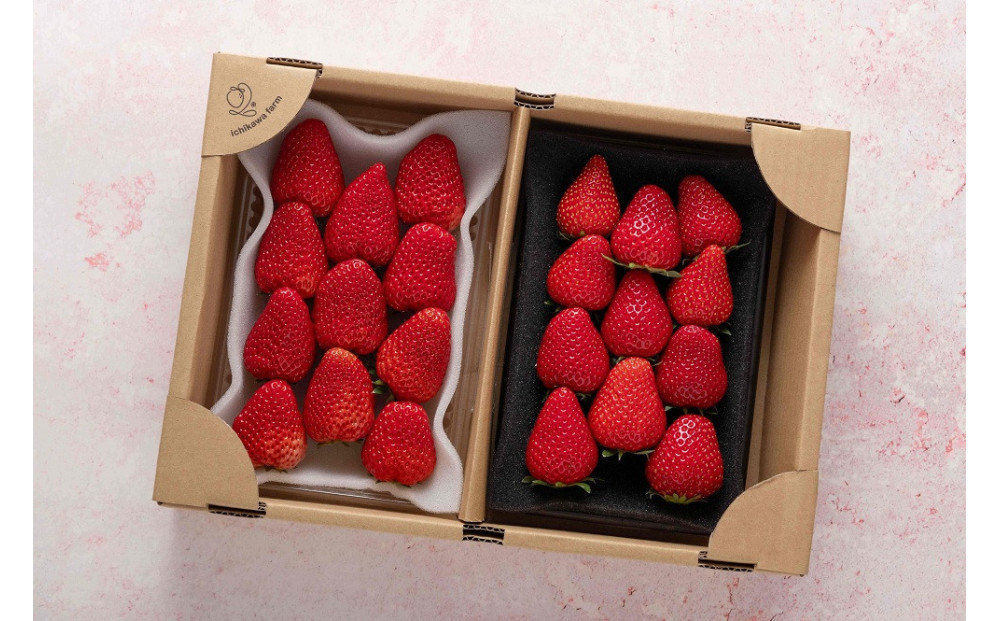 苺屋いちかわ農園直送！その時一番おいしいイチゴ2パックセット【配送不可：沖縄県・離島】