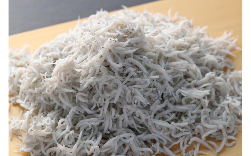 しずまえ釜揚げしらす　2kg（200g×10パック）◇