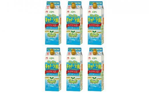 《AJINOMOTO》 味の素 さらさらキャノーラ油 700g×6個◆