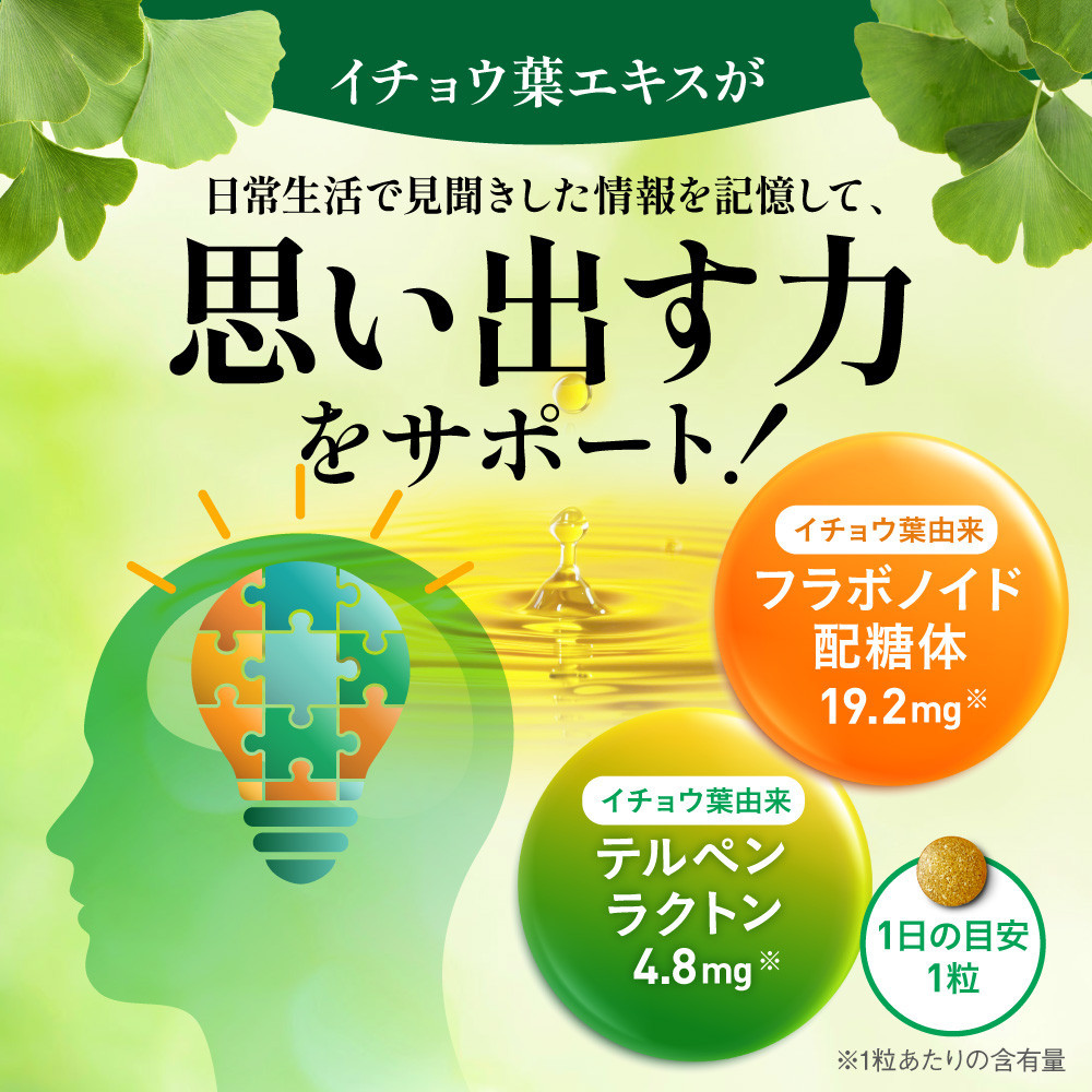 イチョウ葉 サプリメント 認知ヘルプ 認知機能 記憶力向上 ホスファチジルセリン PQQ プラズマローゲン バコパサポニン DHA EPA コエンザイムQ10 6袋（6ヶ月分）