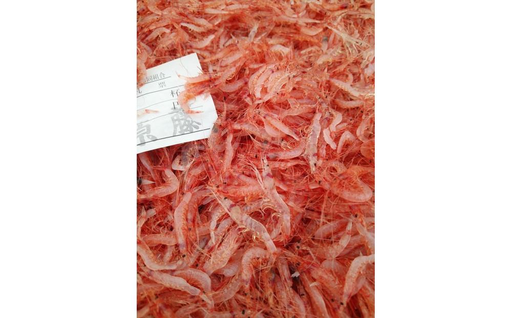 ＜原藤商店＞由比港産　生桜えび　95g×2◆