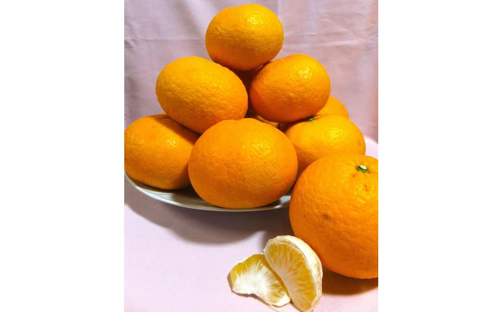 先行受付！訳アリ 清水の早生甘夏みかん　計8kg以上　痛み補償分付き◇