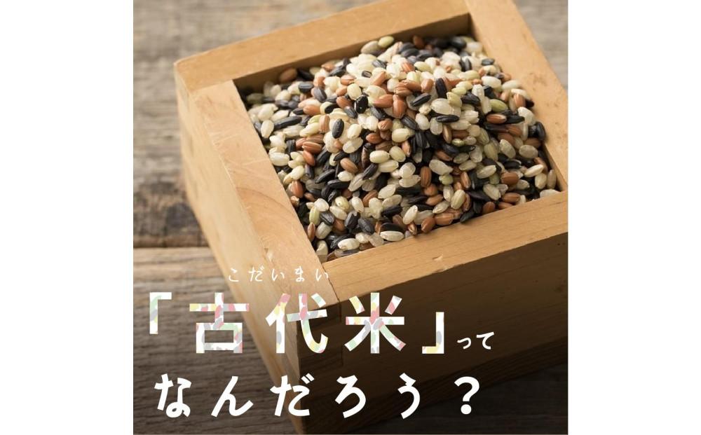 国産古代米4 種ブレンド 8kg(400g×20袋)