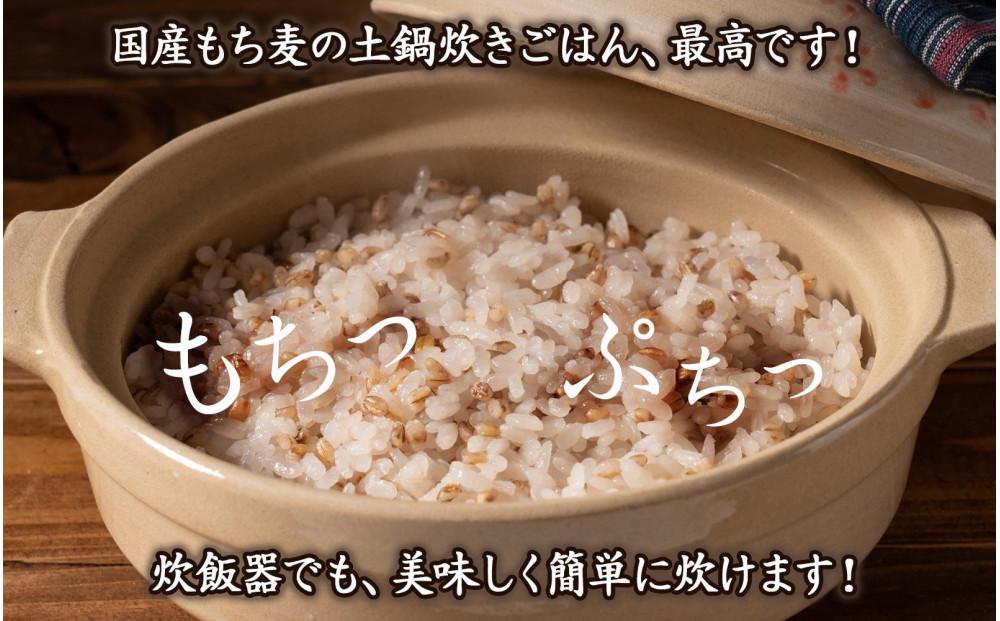もち麦 4.0kg(400g×10袋)