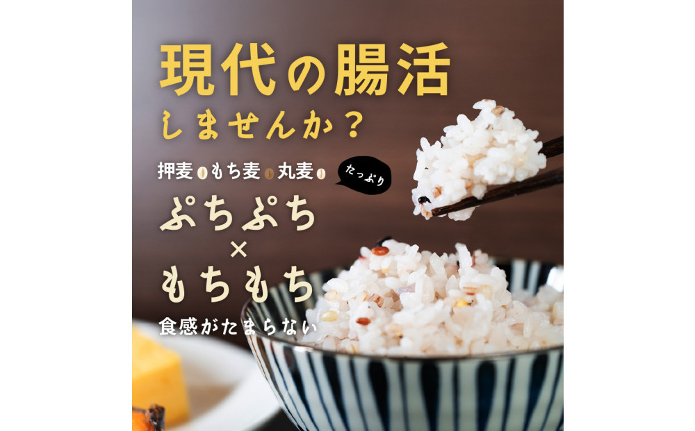 麦の恵み24穀米ブレンド 8kg(800g×10袋)