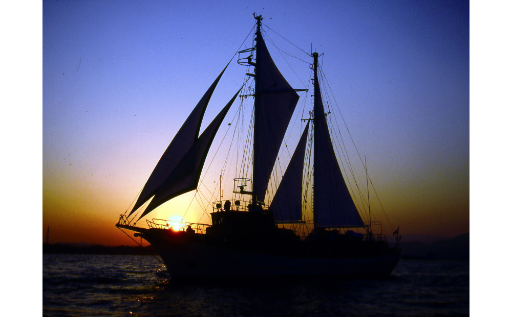 【オーシャンプリンセス号貸切】60分間