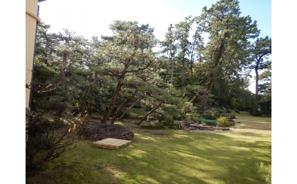 今まで知らなかった三保松原　喧騒を離れ日本庭園を一人占め　気軽に一日旅心 ～羽衣ホテルでアートや文学　歴史を知り松原を清めて三保松原を慈しむ～