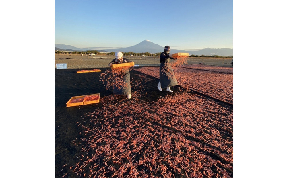 桜えび２種、しらす２種セット【配送不可：離島】