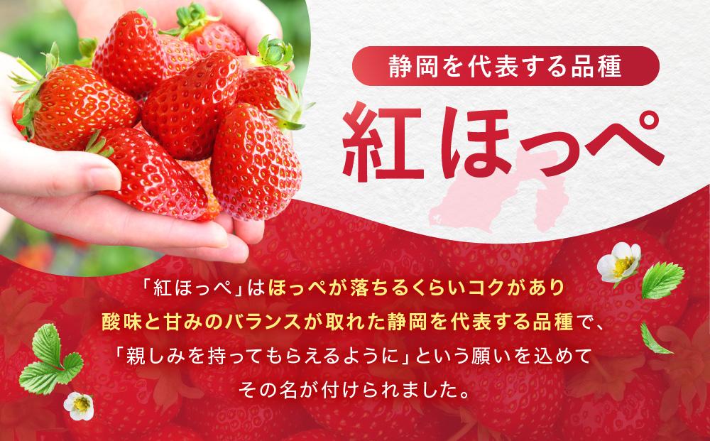 【冷凍】 いちごスムージー（紅ほっぺ）300g×6個  苺 フルーツ◇