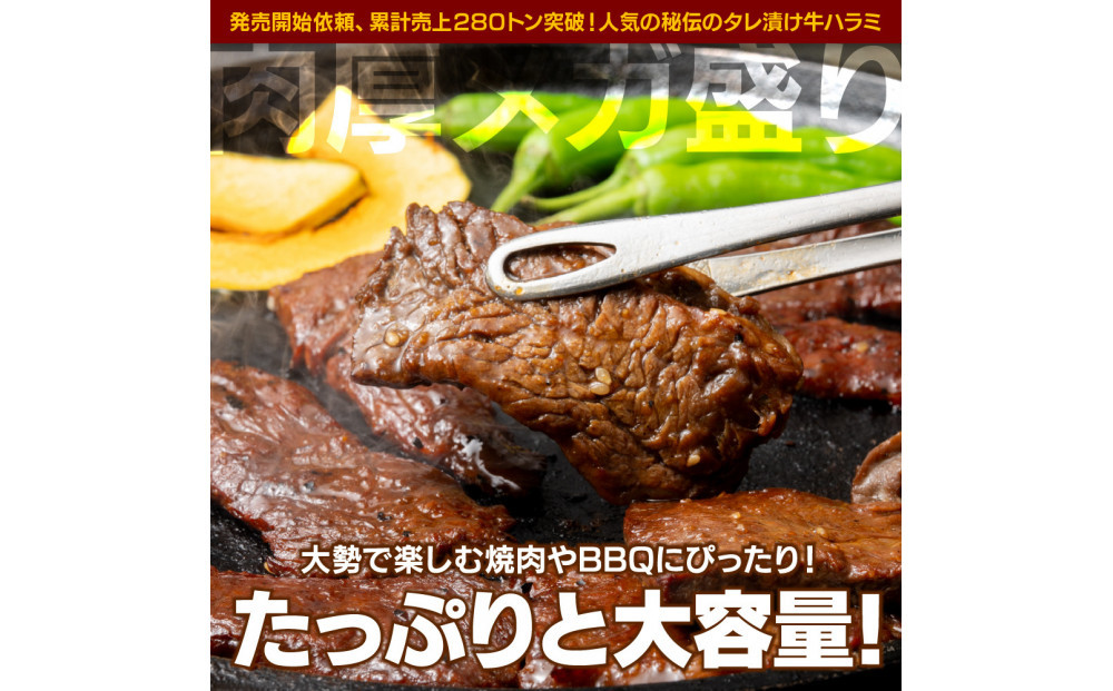 秘伝のタレ漬け牛ハラミ 3kg（500g×6パック）【配送不可：離島】